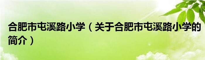 合肥市屯溪路小學（關(guān)于合肥市屯溪路小學的簡介）