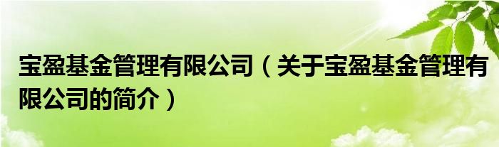 寶盈基金管理有限公司（關(guān)于寶盈基金管理有限公司的簡介）