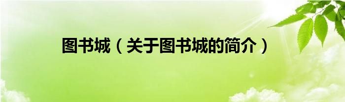 圖書城（關(guān)于圖書城的簡介）