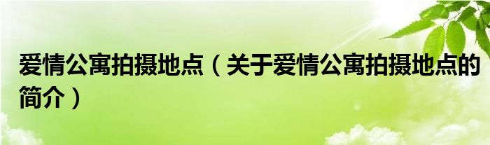 愛情公寓拍攝地點（關于愛情公寓拍攝地點的簡介）