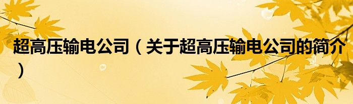 超高壓輸電公司（關(guān)于超高壓輸電公司的簡(jiǎn)介）