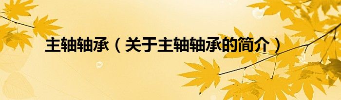 主軸軸承（關(guān)于主軸軸承的簡(jiǎn)介）