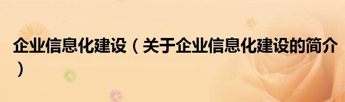 企業(yè)信息化建設(shè)（關(guān)于企業(yè)信息化建設(shè)的簡(jiǎn)介）