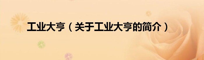 工業(yè)大亨（關(guān)于工業(yè)大亨的簡(jiǎn)介）