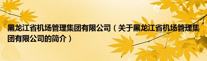 黑龍江省機場管理集團有限公司（關(guān)于黑龍江省機場管理集團有限公司的簡介）