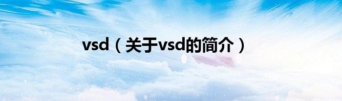 vsd（關(guān)于vsd的簡介）