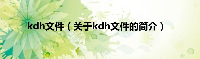 kdh文件（關(guān)于kdh文件的簡(jiǎn)介）