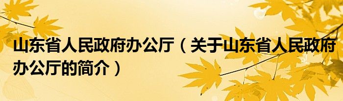 山東省人民政府辦公廳（關(guān)于山東省人民政府辦公廳的簡介）