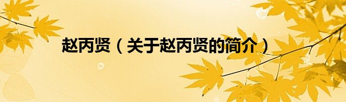 趙丙賢（關(guān)于趙丙賢的簡(jiǎn)介）