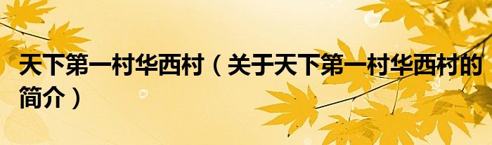 天下第一村華西村（關(guān)于天下第一村華西村的簡(jiǎn)介）