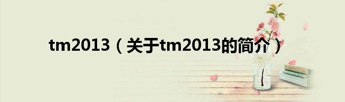 tm2013（關(guān)于tm2013的簡(jiǎn)介）