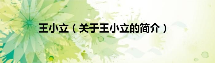 王小立（關(guān)于王小立的簡(jiǎn)介）