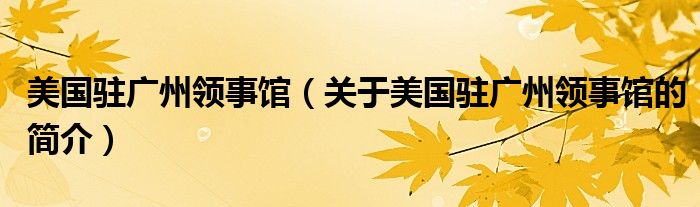 美國駐廣州領(lǐng)事館（關(guān)于美國駐廣州領(lǐng)事館的簡介）