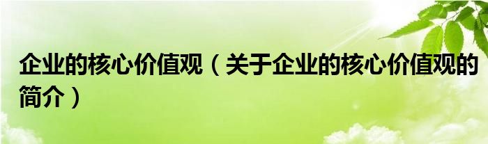 企業(yè)的核心價(jià)值觀（關(guān)于企業(yè)的核心價(jià)值觀的簡(jiǎn)介）