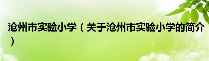 滄州市實(shí)驗(yàn)小學(xué)（關(guān)于滄州市實(shí)驗(yàn)小學(xué)的簡介）