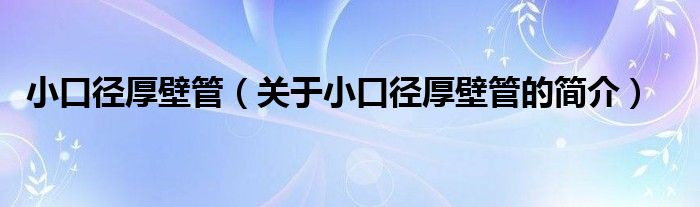 小口徑厚壁管（關(guān)于小口徑厚壁管的簡(jiǎn)介）