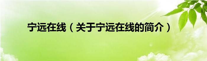 寧遠(yuǎn)在線（關(guān)于寧遠(yuǎn)在線的簡(jiǎn)介）