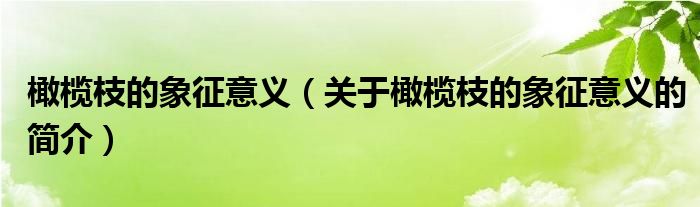 橄欖枝的象征意義（關(guān)于橄欖枝的象征意義的簡介）