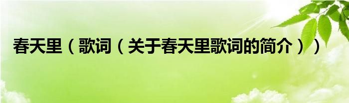 春天里（歌詞（關于春天里歌詞的簡介））