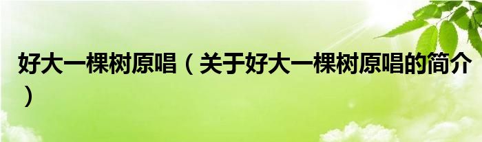 好大一棵樹(shù)原唱（關(guān)于好大一棵樹(shù)原唱的簡(jiǎn)介）