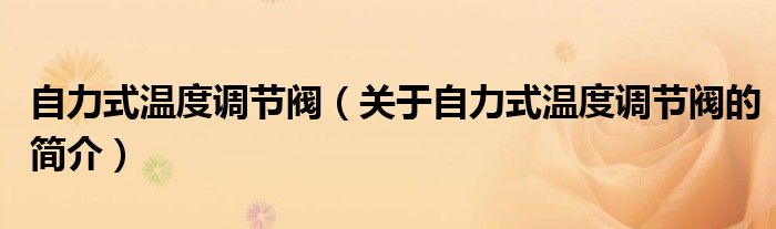 自力式溫度調(diào)節(jié)閥（關(guān)于自力式溫度調(diào)節(jié)閥的簡(jiǎn)介）