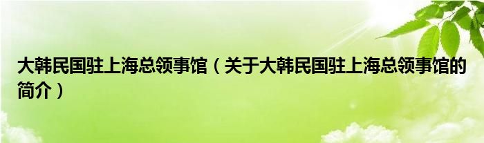 大韓民國駐上?？傤I事館（關于大韓民國駐上?？傤I事館的簡介）