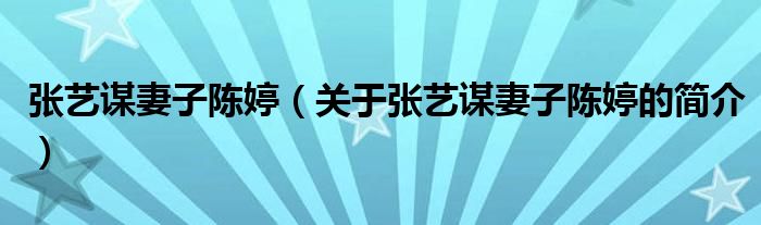 張藝謀妻子陳婷（關于張藝謀妻子陳婷的簡介）