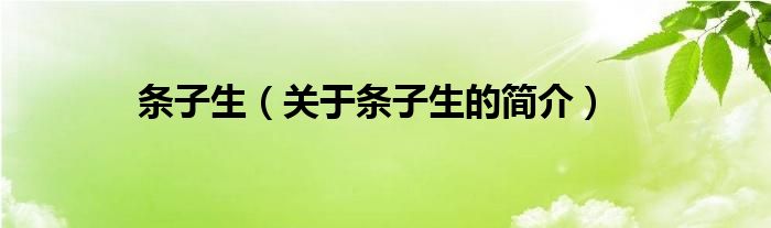 條子生（關(guān)于條子生的簡介）