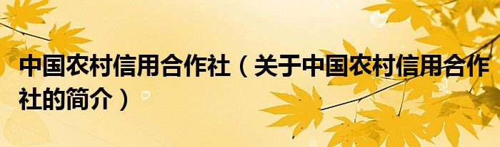 中國農(nóng)村信用合作社（關(guān)于中國農(nóng)村信用合作社的簡介）