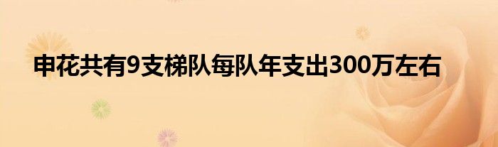 申花共有9支梯隊每隊年支出300萬左右