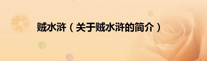 賊水滸（關(guān)于賊水滸的簡(jiǎn)介）