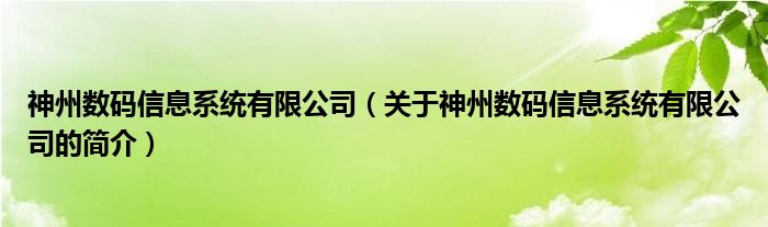 神州數(shù)碼信息系統(tǒng)有限公司（關(guān)于神州數(shù)碼信息系統(tǒng)有限公司的簡介）