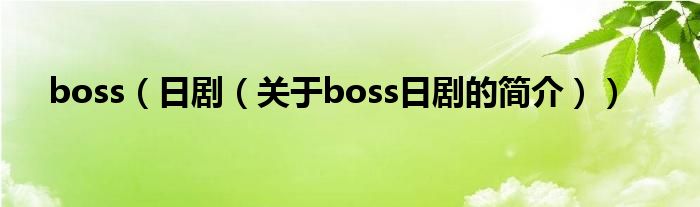 boss（日劇（關(guān)于boss日劇的簡介））