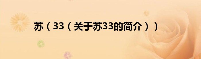 蘇（33（關(guān)于蘇33的簡介））