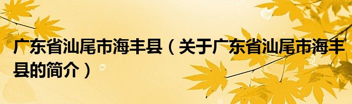 廣東省汕尾市海豐縣（關(guān)于廣東省汕尾市海豐縣的簡(jiǎn)介）