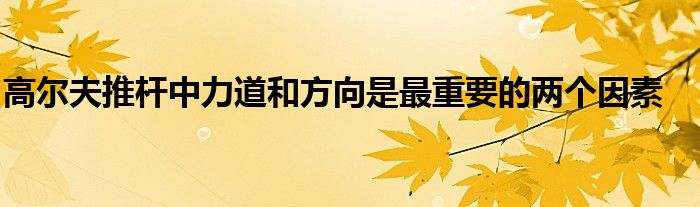 高爾夫推桿中力道和方向是最重要的兩個(gè)因素