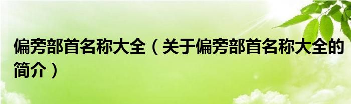 偏旁部首名稱大全（關于偏旁部首名稱大全的簡介）