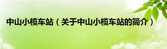 中山小欖車站（關(guān)于中山小欖車站的簡介）