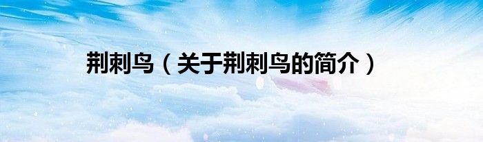 荊刺鳥(niǎo)（關(guān)于荊刺鳥(niǎo)的簡(jiǎn)介）