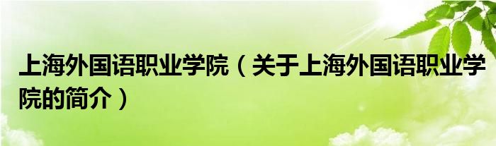 上海外國語職業(yè)學(xué)院（關(guān)于上海外國語職業(yè)學(xué)院的簡介）