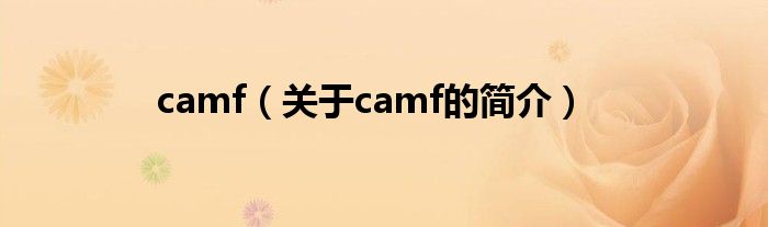 camf（關于camf的簡介）