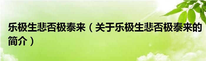 樂(lè)極生悲否極泰來(lái)（關(guān)于樂(lè)極生悲否極泰來(lái)的簡(jiǎn)介）