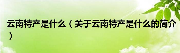 云南特產(chǎn)是什么（關于云南特產(chǎn)是什么的簡介）