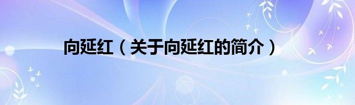 向延紅（關(guān)于向延紅的簡(jiǎn)介）