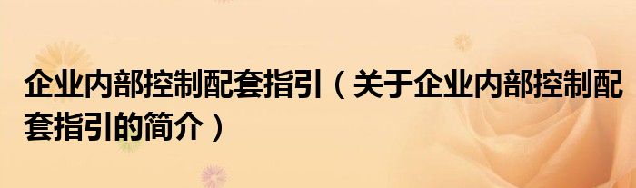 企業(yè)內(nèi)部控制配套指引（關(guān)于企業(yè)內(nèi)部控制配套指引的簡(jiǎn)介）