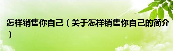 怎樣銷售你自己（關于怎樣銷售你自己的簡介）