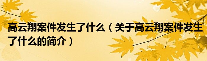 高云翔案件發(fā)生了什么（關(guān)于高云翔案件發(fā)生了什么的簡介）