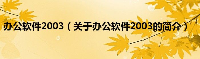 辦公軟件2003（關(guān)于辦公軟件2003的簡(jiǎn)介）