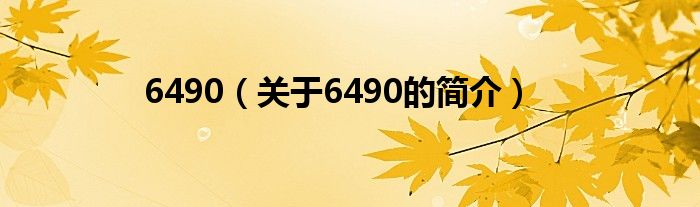 6490（關(guān)于6490的簡(jiǎn)介）