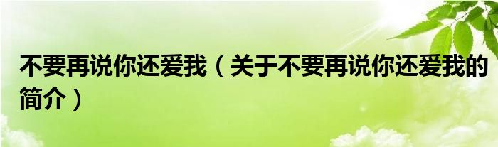 不要再說你還愛我（關(guān)于不要再說你還愛我的簡介）